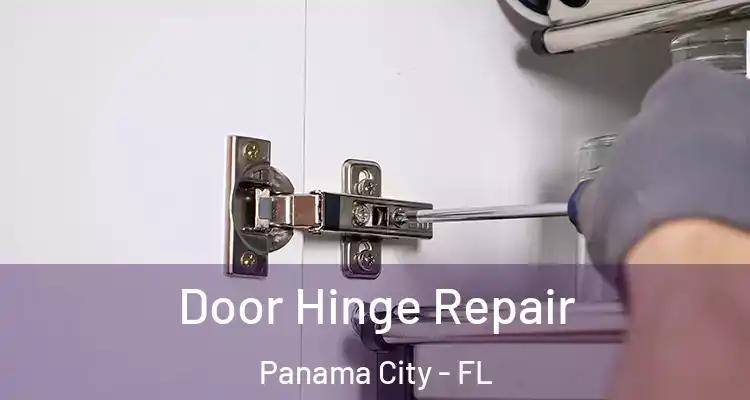  Door Hinge Repair Panama City - FL