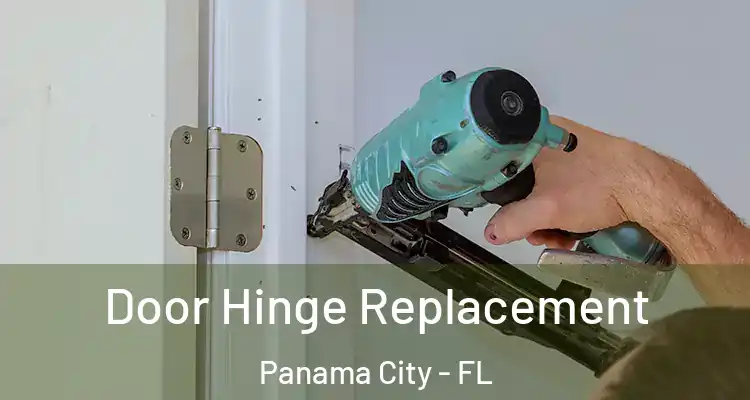  Door Hinge Replacement Panama City - FL