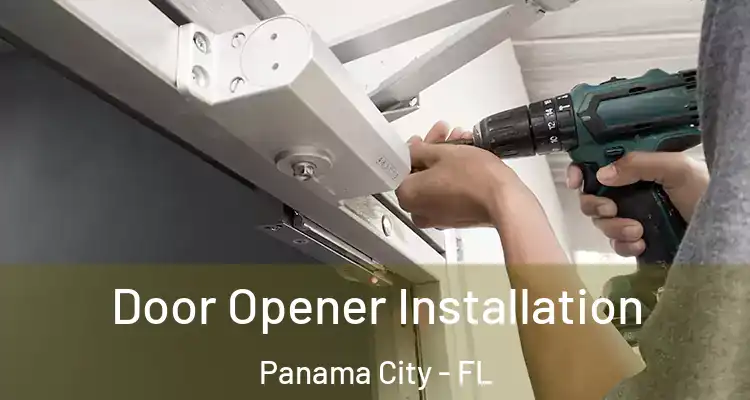  Door Opener Installation Panama City - FL