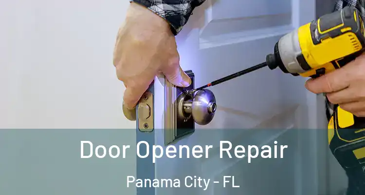  Door Opener Repair Panama City - FL