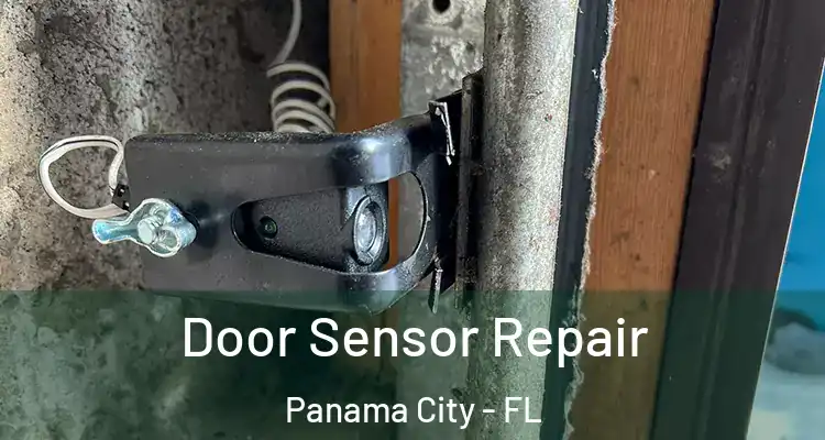  Door Sensor Repair Panama City - FL