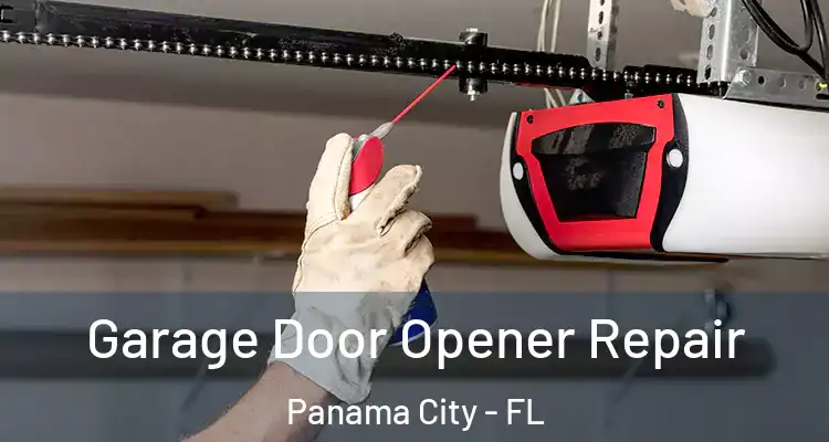  Garage Door Opener Repair Panama City - FL