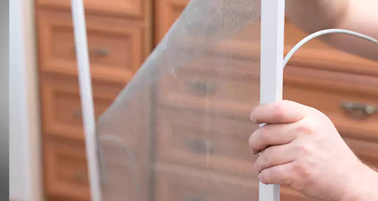 Privacy Mesh Screen Door Installation in Panama City, FL