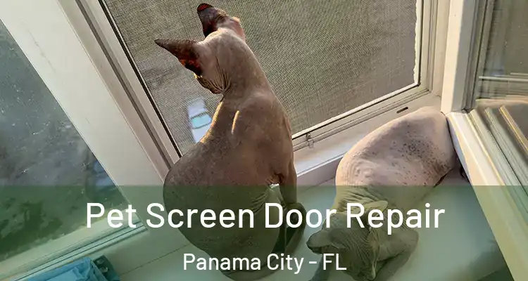  Pet Screen Door Repair Panama City - FL