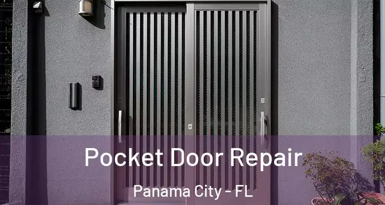  Pocket Door Repair Panama City - FL