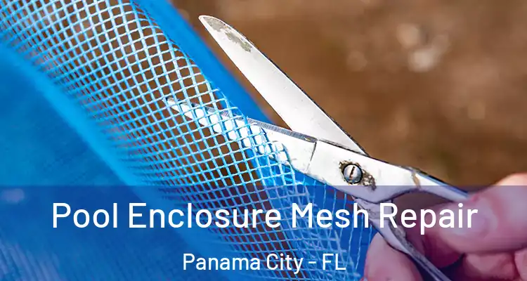 Pool Enclosure Mesh Repair Panama City - FL