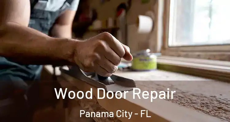  Wood Door Repair Panama City - FL